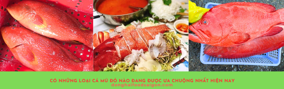 Cá mú đỏ là lựa chọn tuyệt vời cho bữa ăn gia đình, không chỉ vì hương vị tươi ngon mà còn bởi giá trị dinh dưỡng cao. Với hàm lượng Omega-3 và protein dồi dào, cá mú đỏ giúp tăng cường sức khỏe, phù hợp cho mọi lứa tuổi. Đừng bỏ lỡ cơ hội thưởng thức và tận dụng những lợi ích tuyệt vời từ cá mú đỏ trong mỗi bữa ăn hàng ngày.