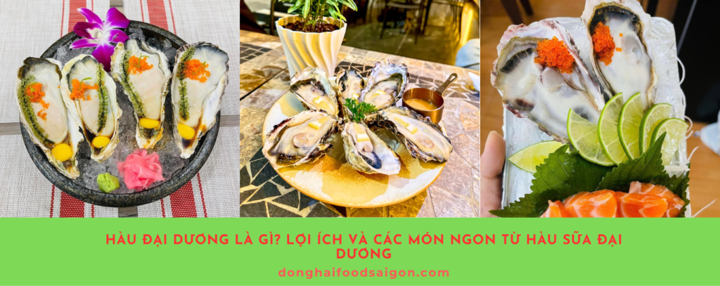 Hàu đại dương không chỉ là một món ăn thơm ngon mà còn mang lại nhiều lợi ích sức khỏe, giúp cải thiện sinh lý, tốt cho tim mạch và tăng cường miễn dịch. Hãy thêm hàu đại dương vào thực đơn hàng ngày của bạn để tận hưởng những lợi ích dinh dưỡng tuyệt vời!