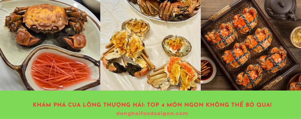 Khám phá cua lông thượng hải món ngon qua top 4 món ăn hấp dẫn không thể bỏ qua, mang đến trải nghiệm ẩm thực tuyệt vời!