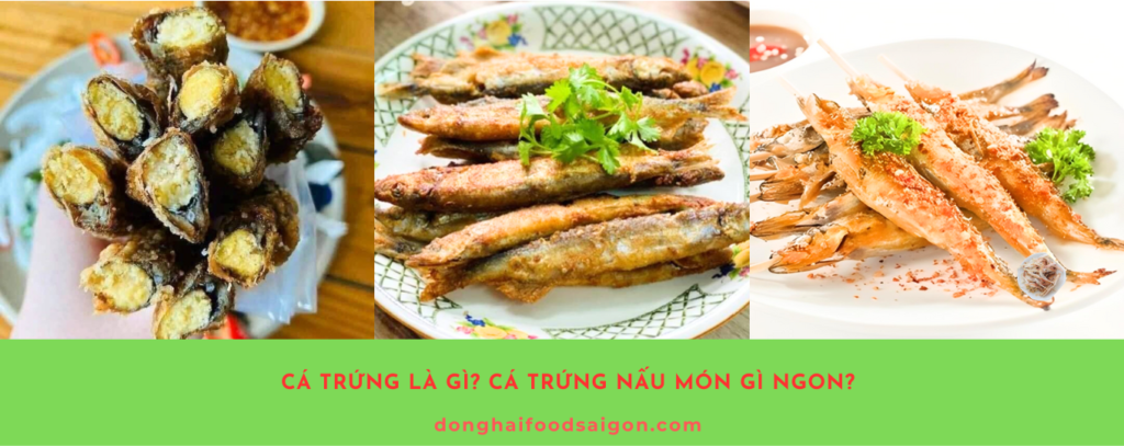 Cá trứng không chỉ hấp dẫn bởi hương vị thơm ngon, dễ chế biến mà còn mang lại giá trị dinh dưỡng cao. Dù bạn yêu thích các món chiên giòn, nướng, hay kho đậm đà, cá trứng đều là lựa chọn lý tưởng cho bữa cơm gia đình. Hãy bổ sung món cá trứng vào thực đơn hàng tuần để cả nhà cùng tận hưởng những lợi ích sức khỏe tuyệt vời!