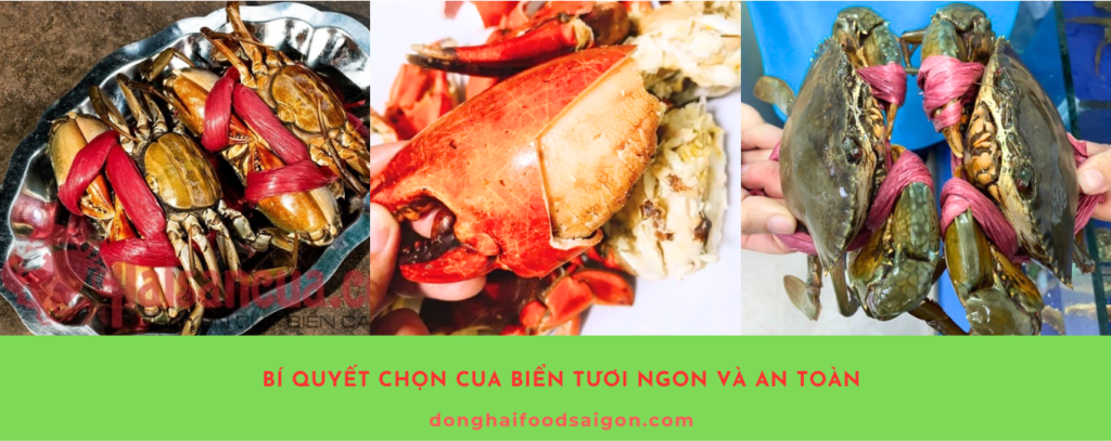 Cua biển là món hải sản bổ dưỡng, được nhiều gia đình yêu thích bởi hương vị thơm ngon và giá trị dinh dưỡng cao. Tuy nhiên, không phải ai cũng biết cách chọn mua cua tươi ngon và chế biến chúng đúng cách. Hãy cùng khám phá những mẹo đơn giản dưới đây để trở thành "cao thủ" trong việc chọn cua biển nhé!