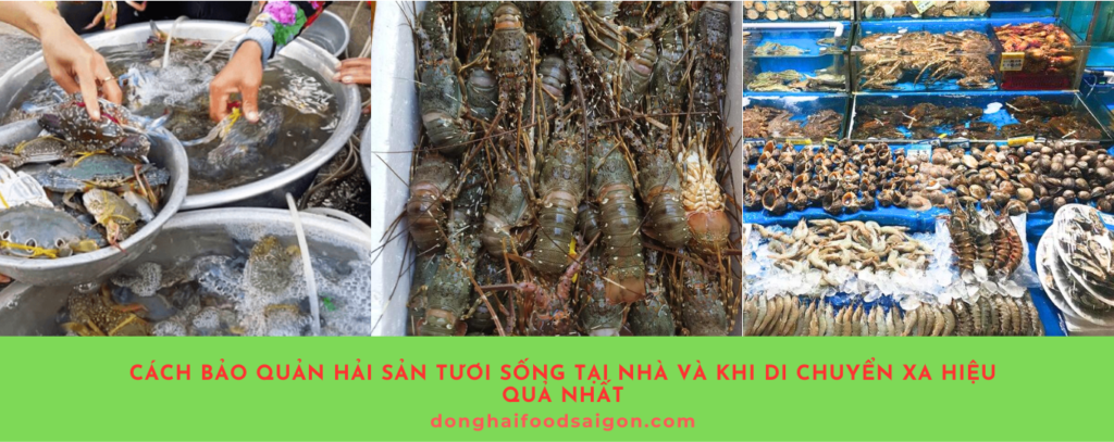 Hải sản tươi sống luôn được ưa chuộng nhờ hương vị đậm đà và giá trị dinh dưỡng cao. Tuy nhiên, việc bảo quản hải sản để giữ được độ tươi ngon, đặc biệt khi chưa chế biến ngay hoặc cần mang đi xa, đòi hỏi kỹ thuật và sự khéo léo. Trong bài viết này, chúng tôi sẽ hướng dẫn bạn cách bảo quản hải sản tươi sống đúng cách từ tủ lạnh gia đình cho đến khi di chuyển đường dài, đảm bảo chất lượng hải sản luôn đạt chuẩn.