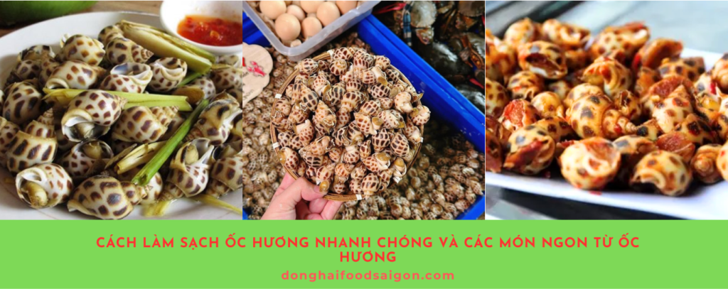 Ốc hương không chỉ nổi tiếng bởi vị ngọt đặc trưng và hương thơm hấp dẫn mà còn là lựa chọn hàng đầu cho những bữa ăn hải sản ngon miệng. Tuy nhiên, để có được món ốc hương thơm ngon, điều quan trọng là bạn phải biết cách làm sạch ốc đúng cách và chế biến phù hợp. Hãy cùng khám phá bí quyết làm sạch và các cách chế biến ốc hương ngon nhất trong bài viết dưới đây!