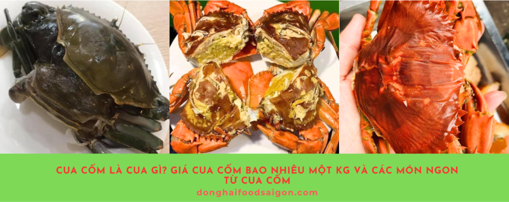 Cua cốm là món ăn đặc sắc với hương vị độc đáo, đầy dinh dưỡng và không kém phần hấp dẫn. Mặc dù giá cao và khó tìm, nhưng nếu có cơ hội thưởng thức, bạn chắc chắn sẽ không thể quên được vị ngon của loại cua này. Để có món cua cốm ngon, bạn hãy chọn mua tại các cửa hàng uy tín và chế biến với những món ăn hấp dẫn để thưởng thức trọn vẹn hương vị!