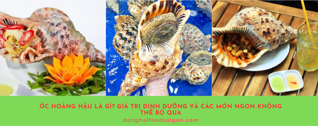 Ốc hoàng hậu, hay còn được gọi là ốc nữ hoàng, ốc tù và, không chỉ nổi bật với vẻ ngoài độc đáo mà còn là nguồn thực phẩm giàu dinh dưỡng. Bài viết dưới đây sẽ cung cấp đầy đủ thông tin về loài ốc này, giá trị dinh dưỡng cũng như cách chế biến những món ăn ngon từ ốc hoàng hậu, giúp bạn có thêm lựa chọn hấp dẫn cho bữa ăn gia đình.