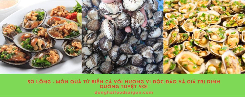 Sò lông không chỉ là một loại hải sản quen thuộc mà còn mang đến những giá trị dinh dưỡng và ẩm thực tuyệt vời. Từ các món ăn đơn giản như nướng mỡ hành, hấp thái, đến những món cháo dinh dưỡng, sò lông luôn làm hài lòng mọi khẩu vị. Bên cạnh đó, những lợi ích sức khỏe như bổ máu, hỗ trợ tiêu hóa hay điều trị viêm gan đã chứng minh rằng đây là một thực phẩm vừa ngon vừa bổ.