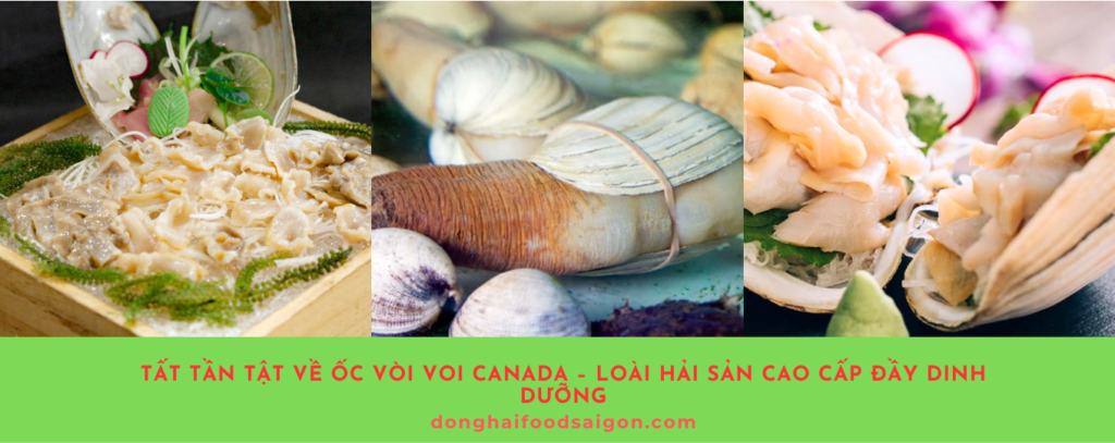 Ốc vòi voi, còn gọi là tu hài Canada, là một loại hải sản quý hiếm đến từ vùng biển lạnh giá của Canada. Với giá trị dinh dưỡng cao và hương vị đặc biệt, loại ốc này đang dần trở thành sự lựa chọn hàng đầu của các tín đồ ẩm thực. Hãy cùng khám phá những điều thú vị về ốc vòi voi qua bài viết dưới đây!