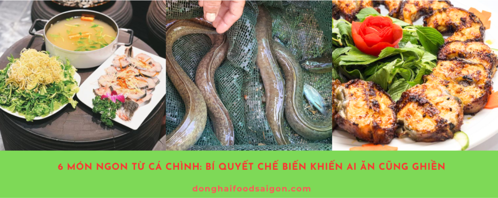 Cá chình là nguyên liệu cao cấp trong thế giới ẩm thực với thịt thơm ngọt, giàu dinh dưỡng. Nếu bạn đang thắc mắc cá chình làm món gì ngon, hãy cùng khám phá ngay 6 món ăn độc đáo, hấp dẫn từ cá chình mà bất cứ ai cũng không thể cưỡng lại!