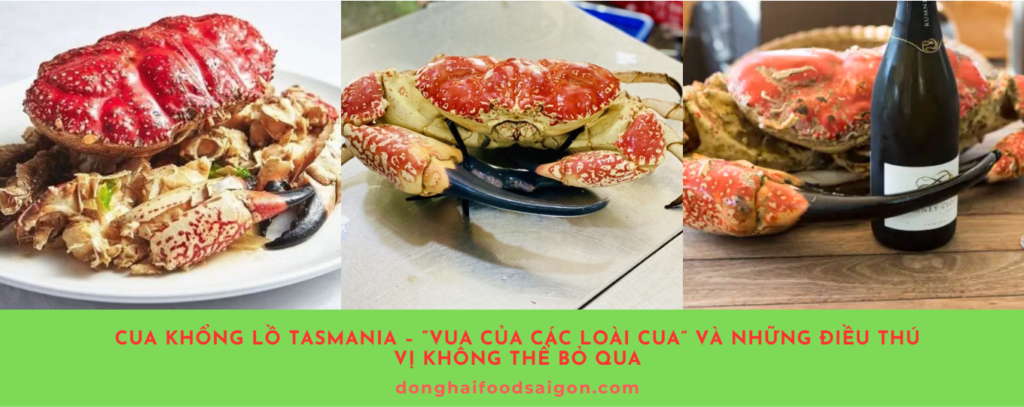 Cua khổng lồ Tasmania không chỉ nổi bật với kích thước và vẻ ngoài "khủng", mà còn mang đến giá trị dinh dưỡng vượt trội. Hãy thử trải nghiệm các món ăn từ loài cua này để cảm nhận sự độc đáo và đẳng cấp.