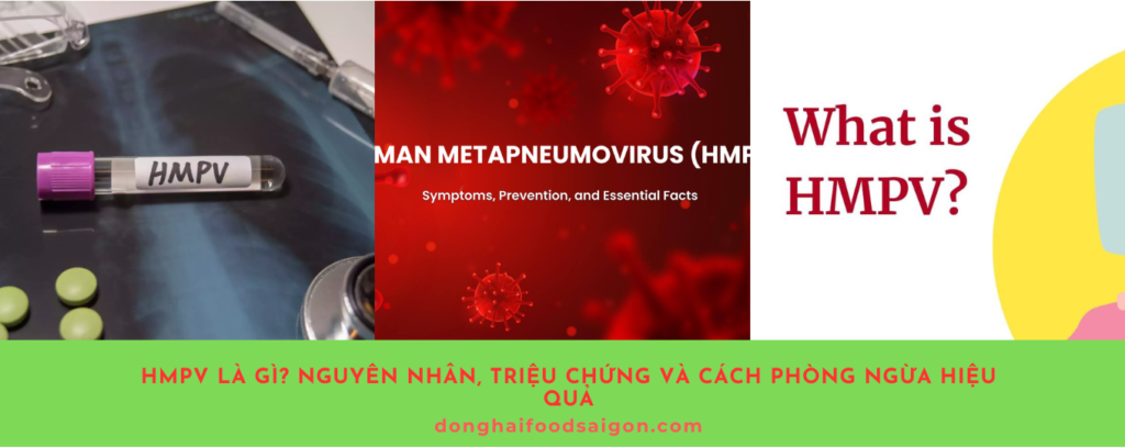 HMPV (Human Metapneumovirus) là một loại virus gây nhiễm trùng đường hô hấp phổ biến, đặc biệt ở trẻ nhỏ và người cao tuổi. Được phát hiện từ hơn 60 năm trước, virus này đang ngày càng thu hút sự chú ý do khả năng lây lan rộng và ảnh hưởng đến sức khỏe cộng đồng. Hãy cùng tìm hiểu chi tiết về HMPV và cách bảo vệ sức khỏe của bạn cũng như gia đình trước nguy cơ từ virus này.