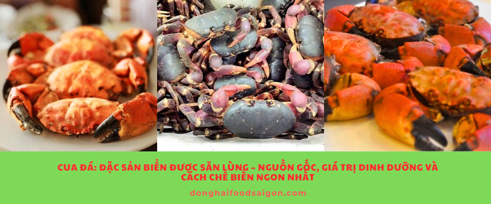 Cua đá không chỉ là món ăn hấp dẫn mà còn là tinh hoa từ biển cả, kết hợp giữa hương vị đặc sắc và giá trị dinh dưỡng tuyệt vời. Dù bạn là người yêu ẩm thực hay đơn giản chỉ muốn đổi gió cho bữa cơm gia đình, cua đá chính là lựa chọn không nên bỏ lỡ.