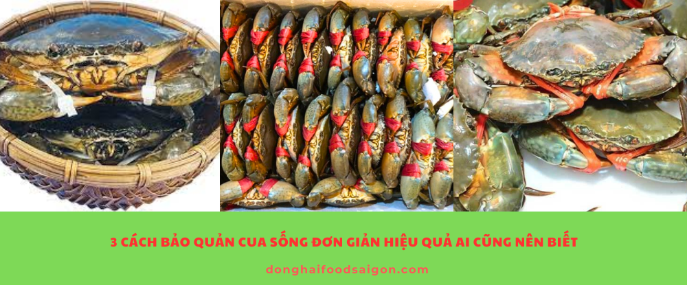 Cua biển, cua đồng là những loại hải sản giàu canxi và dưỡng chất, rất tốt cho sức khỏe. Tuy nhiên, việc bảo quản cua sống lại không hề đơn giản, nếu không biết cách thì cua rất dễ chết, mất chất và không còn tươi ngon khi chế biến.