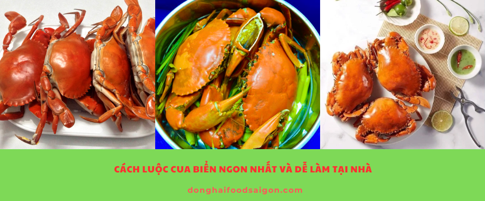 Cua biển từ lâu đã trở thành món ăn khoái khẩu nhờ vị ngọt tự nhiên, thịt chắc cùng giá trị dinh dưỡng cao. Tuy nhiên, không phải ai cũng biết luộc cua đúng cách để cua không tanh, không rụng càng và giữ trọn độ ngon ngọt. Bài viết này sẽ hướng dẫn bạn cách luộc cua biển ngon tại nhà, đơn giản nhưng chuẩn vị nhà hàng!