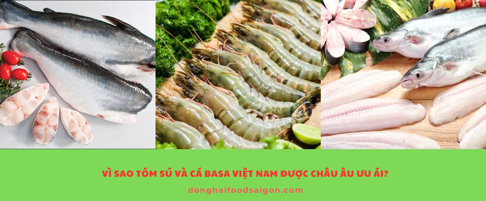 Tôm sú và cá basa Việt Nam không chỉ là mặt hàng nông sản xuất khẩu chủ lực mà còn là biểu tượng của sự phát triển bền vững trong ngành thủy sản. Chất lượng cao, an toàn, giàu dinh dưỡng cùng quy trình sản xuất chuẩn quốc tế chính là lý do giúp chúng chinh phục thành công thị trường châu Âu – nơi luôn đòi hỏi những tiêu chuẩn khắt khe nhất.