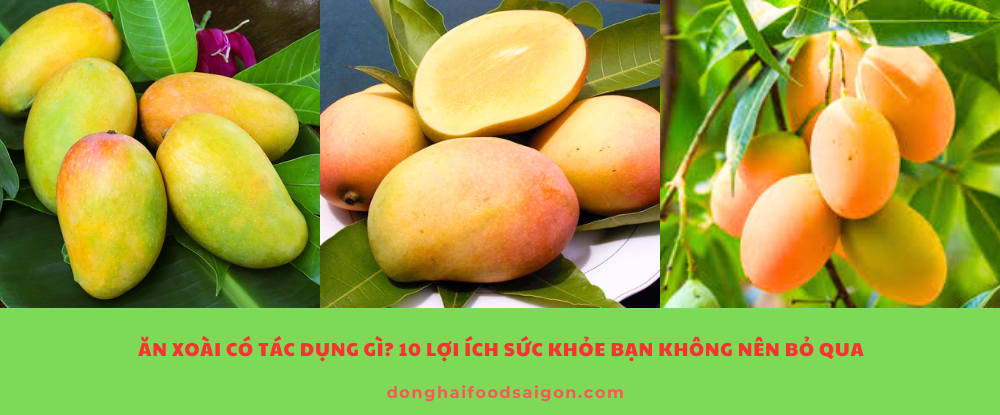 Xoài là loại trái cây ngon, giàu dinh dưỡng và mang lại nhiều lợi ích cho sức khỏe nếu ăn đúng cách. Từ việc tăng cường miễn dịch, hỗ trợ tiêu hóa, làm đẹp da đến ngăn ngừa các bệnh mãn tính, xoài xứng đáng có mặt trong chế độ ăn hàng ngày. Tuy nhiên, hãy luôn ăn với liều lượng phù hợp và lưu ý những trường hợp nên hạn chế để xoài phát huy tối đa công dụng mà không gây tác dụng phụ.