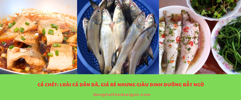 cá chét là một cái tên quen thuộc với người dân miền Tây nhưng lại khiến không ít người thắc mắc: Cá chét là cá gì? Ăn cá chét có tốt không? Nếu bạn cũng đang tò mò, hãy cùng khám phá chi tiết ngay sau đây.