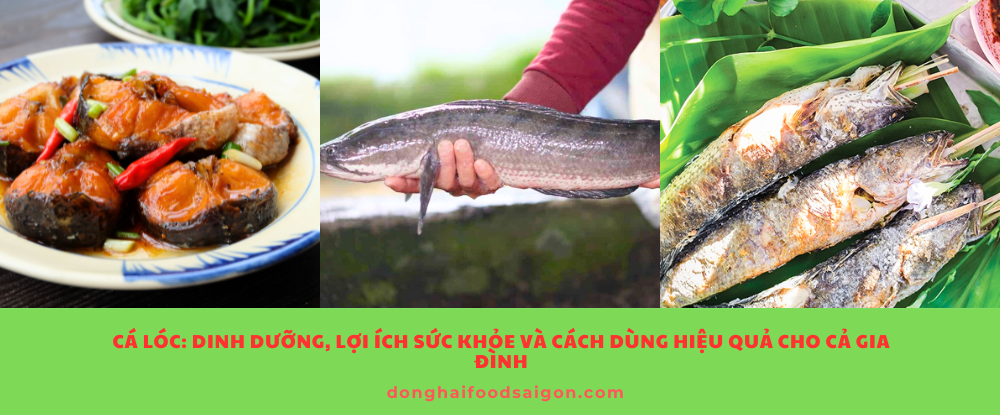 Cá lóc là thực phẩm dân dã nhưng có giá trị dinh dưỡng cao, giúp bồi bổ sức khỏe, phục hồi thể lực và phòng ngừa nhiều bệnh lý. Bằng cách chọn cá tươi, chế biến đúng cách và dùng đúng liều lượng, bạn sẽ giúp cả gia đình có được những bữa ăn không chỉ ngon miệng mà còn tốt cho sức khỏe lâu dài.