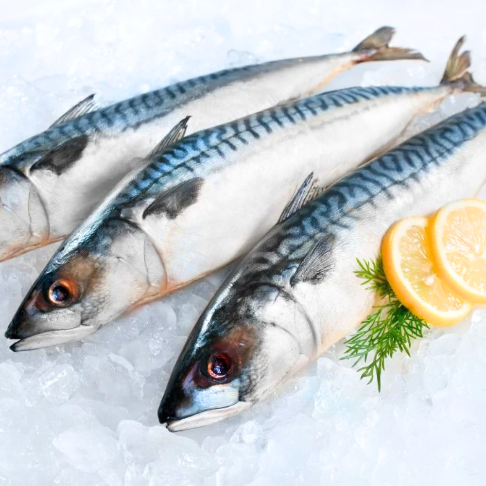 Cá Nục Bông Là Gì