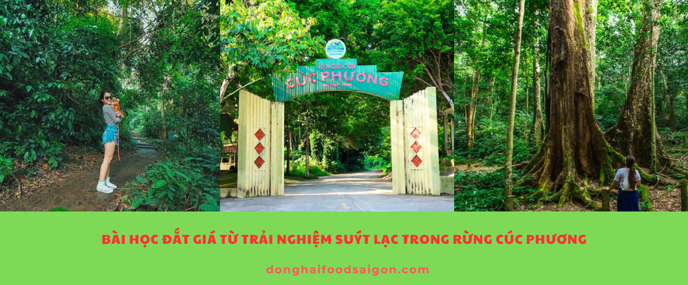 Bài học đắt giá từ trải nghiệm suýt lạc trong rừng Cúc Phương