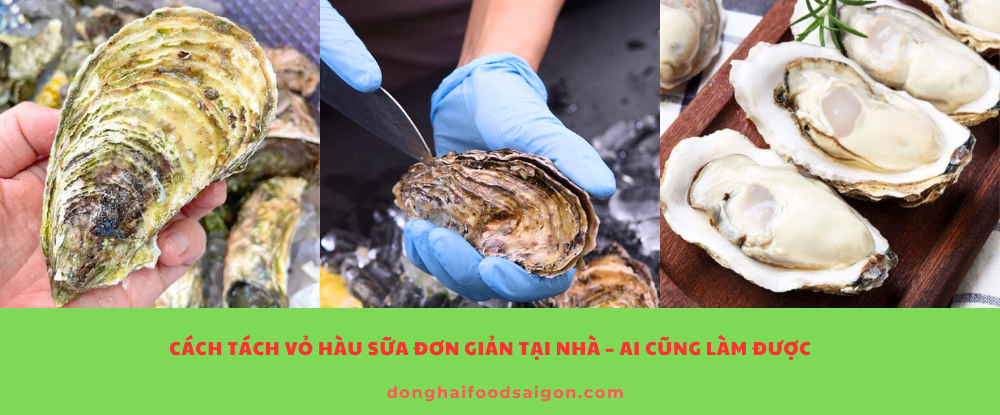 Cách Tách Vỏ Hàu Sữa Đơn Giản Tại Nhà – Ai Cũng Làm Được