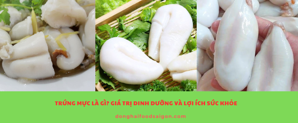 Trứng Mực Là Gì? Giá Trị Dinh Dưỡng Và Lợi Ích Sức Khỏe