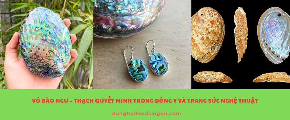 Vỏ Bào Ngư – Thạch Quyết Minh Trong Đông Y Và Trang Sức Nghệ Thuật
