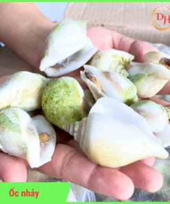 Ốc nhảy đông lạnh