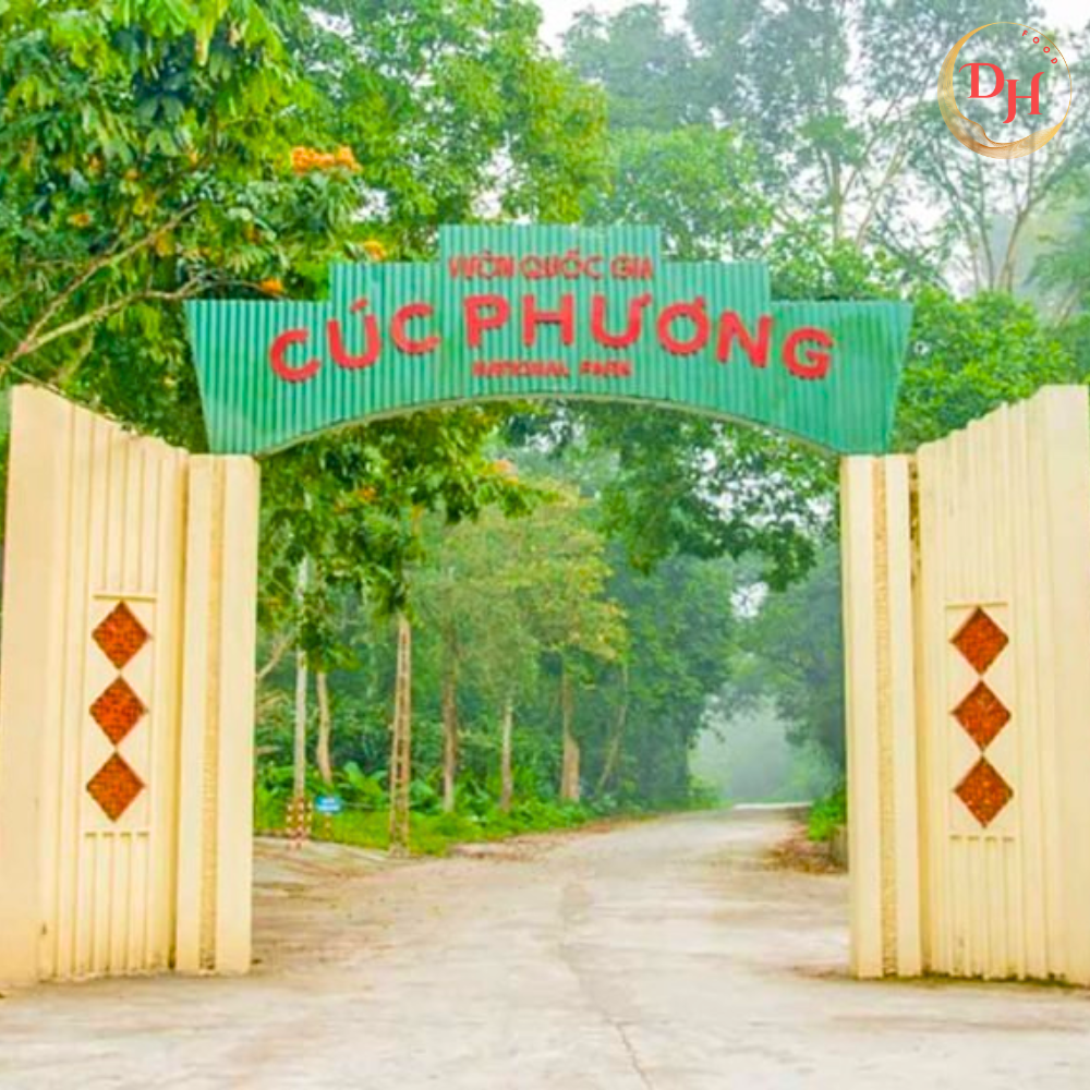 Bài học trải nghiệm suýt lạc trong rừng Cúc Phương