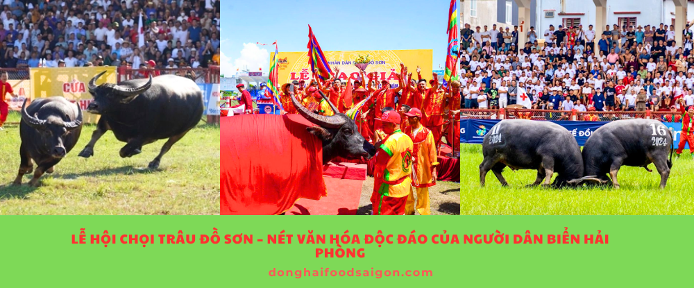 Lễ hội chọi trâu Đồ Sơn – Nét văn hóa độc đáo của người dân biển Hải Phòng