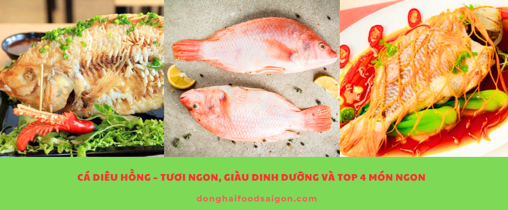 Cá Diêu Hồng – Tươi ngon, giàu dinh dưỡng Và Top 4 Món Ngon