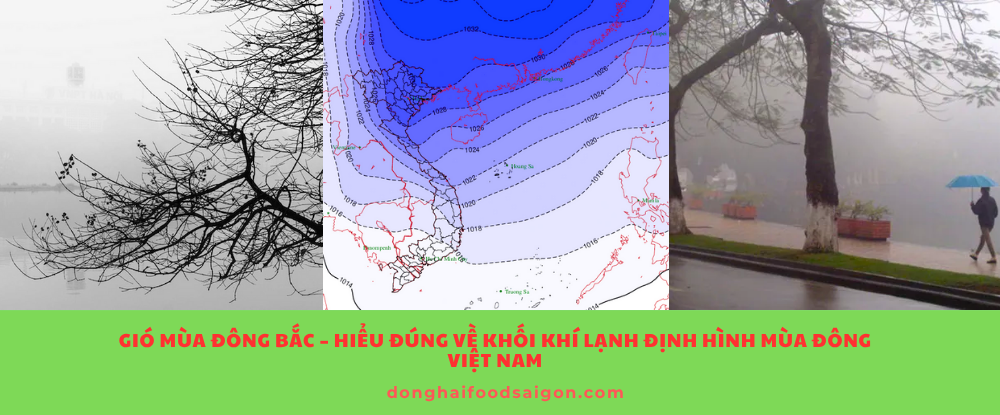 Gió Mùa Đông Bắc – Hiểu Đúng Về Khối Khí Lạnh Định Hình Mùa Đông Việt Nam