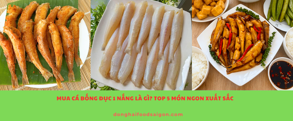 Mua Cá Bống Đục 1 Nắng Là Gì? Top 5 Món Ngon Xuất Sắc