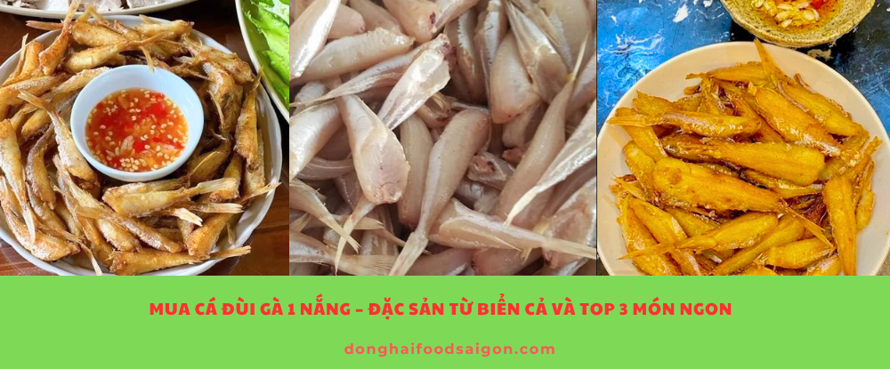 Mua Cá Đùi Gà 1 Nắng – Đặc Sản Biển Cả Và Top 3 Món Ngon