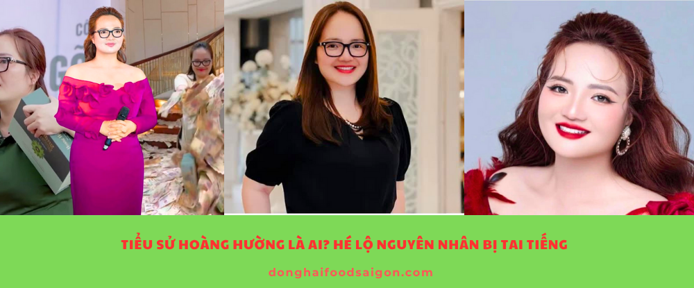 Tiểu sử Hoàng Hường Là Ai? Hé Lộ Nguyên Nhân Bị Tai Tiếng
