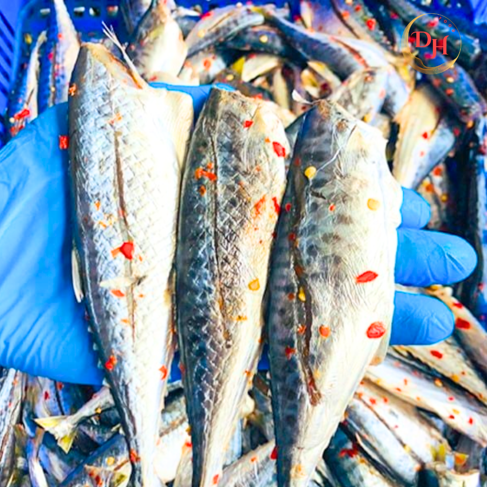 Mua Cá Thu Ảo 1 Nắng Ở Đâu