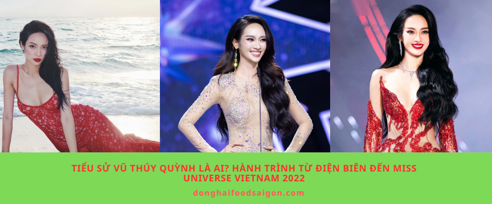 Người mẫu Vũ Thúy Quỳnh là ai? Hành trình từ Điện Biên đến Miss Universe Vietnam 2022
