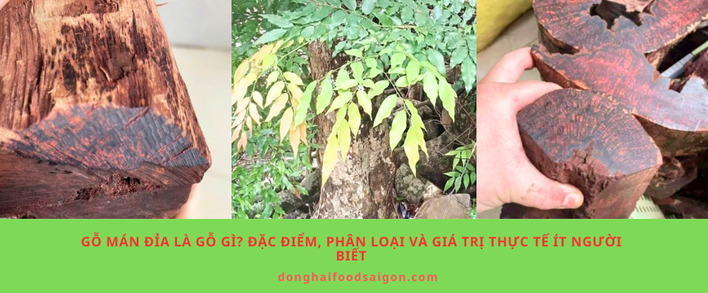 Gỗ Mán Đỉa Là Gỗ Gì? Đặc Điểm, Phân Loại Và Giá Trị Thực Tế Ít Người Biết