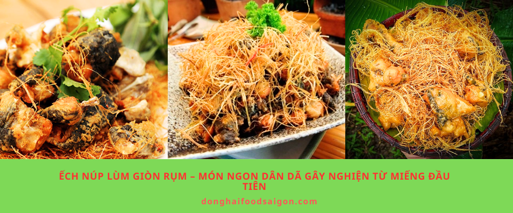 Ếch Núp Lùm Giòn Rụm – Món Ngon Dân Dã Gây Nghiện Từ Miếng Đầu Tiên