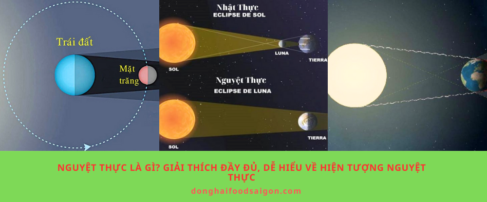 Nguyệt thực là gì? Giải thích đầy đủ, dễ hiểu về hiện tượng nguyệt thực