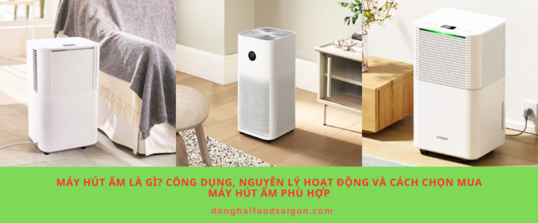 Máy hút ẩm là gì? Công dụng, nguyên lý hoạt động và cách chọn mua máy hút ẩm phù hợp