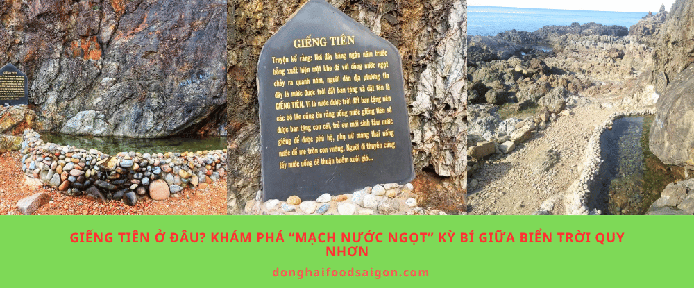 Giếng Tiên ở đâu? Khám phá “mạch nước ngọt” kỳ bí giữa biển trời Quy Nhơn