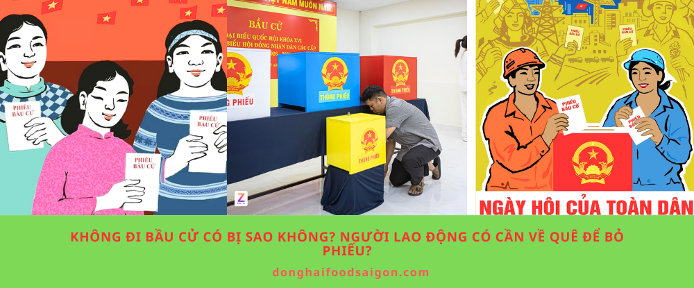 Không đi bầu cử có bị sao không? Người lao động có cần về quê để bỏ phiếu?